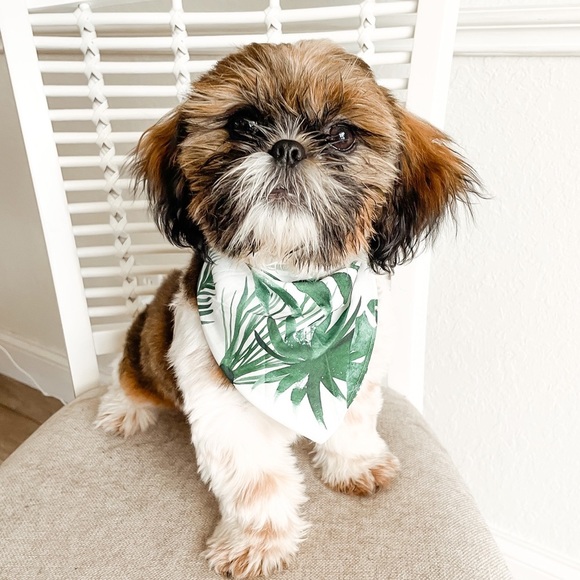 Other - Tropical Pet Bandana